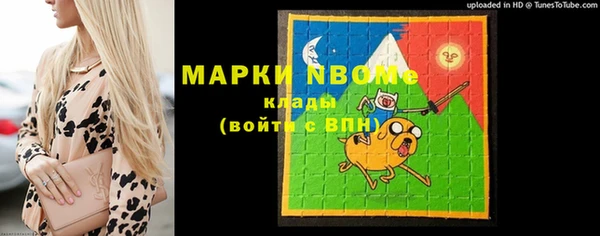 стафф Михайловск