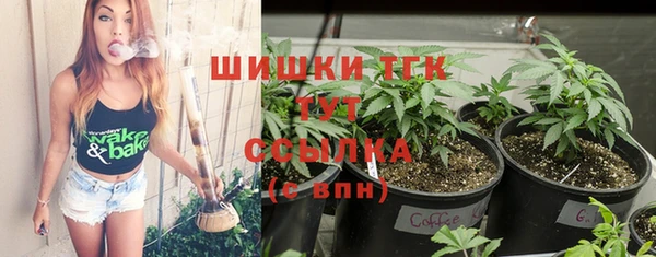прущий лед Михайлов