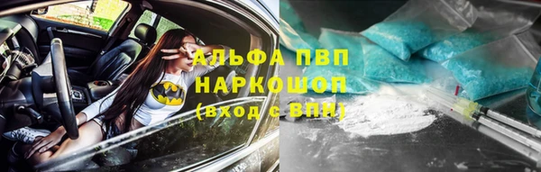 прущий лед Михайлов