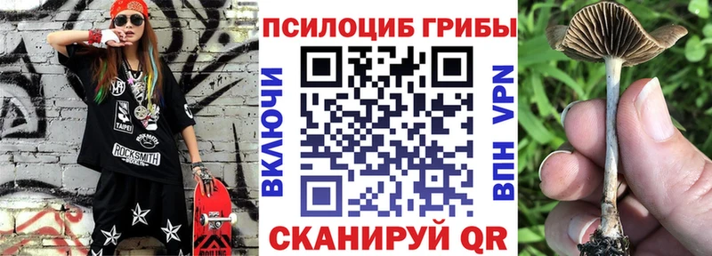 Галлюциногенные грибы GOLDEN TEACHER  дарк нет наркотические препараты  Одинцово  как найти  