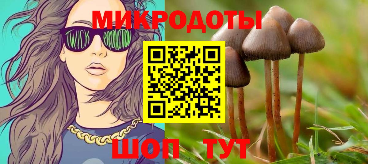 Псилоцибиновые грибы Psilocybine cubensis Одинцово