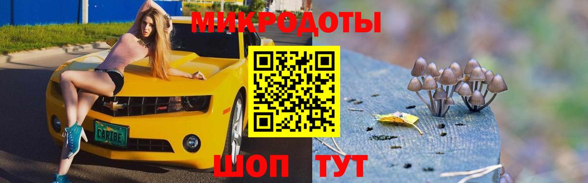 Одинцово  наркотики  Вход с VPN  Псилоцибиновые грибы Psilocybine cubensis 